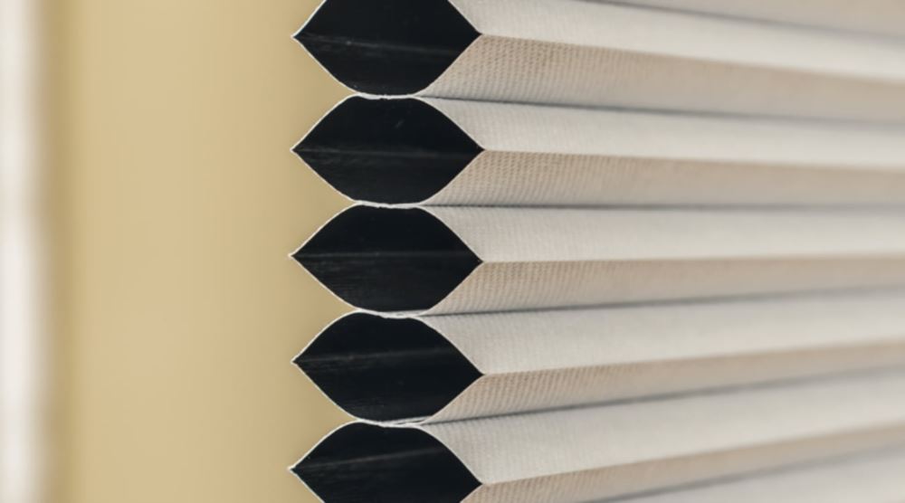 Cell shades Charlotte