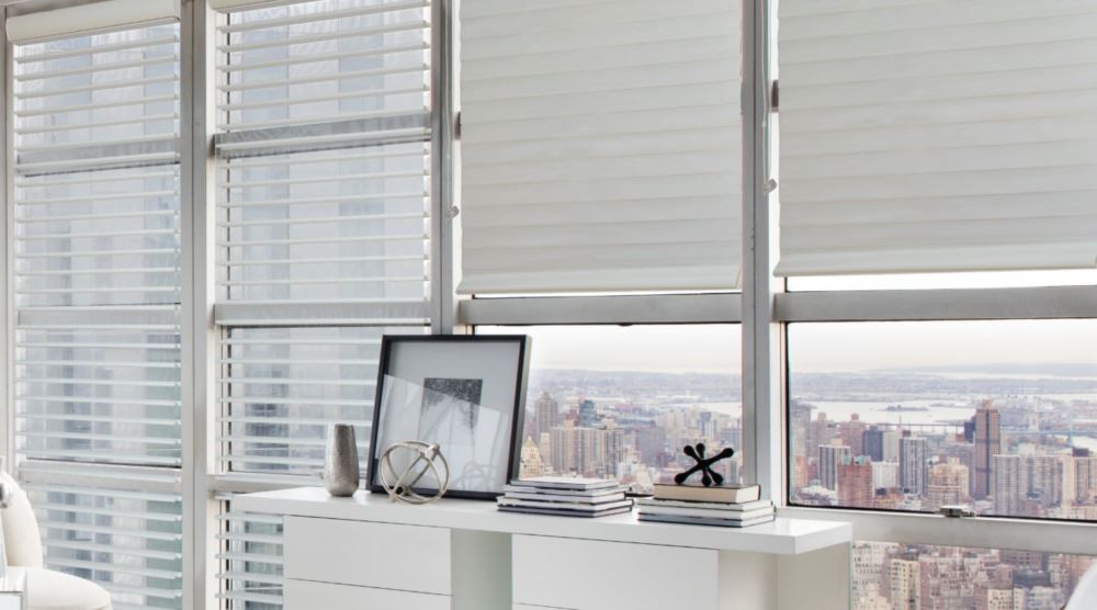 Sheer shades window treatments